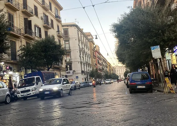 Hotiday Collection - Botanique